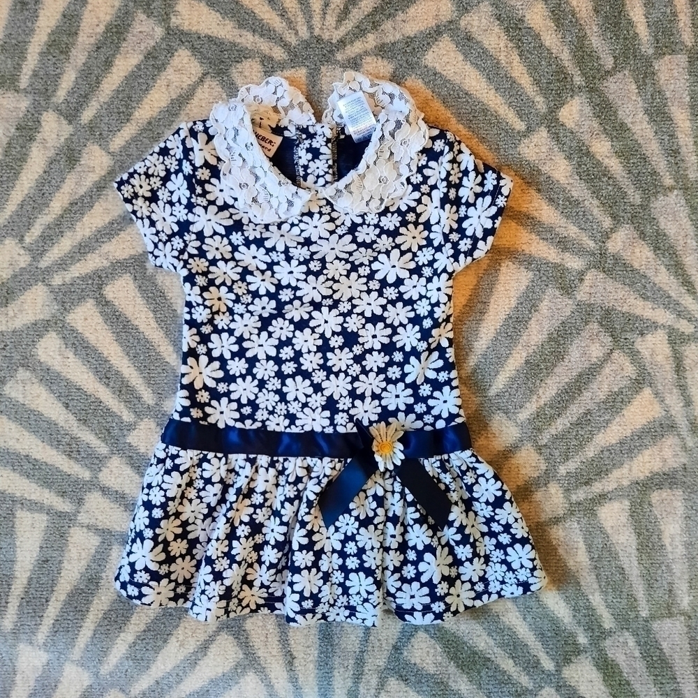 Blueberi Boulevard Drop Waist Daisy Dress size 6